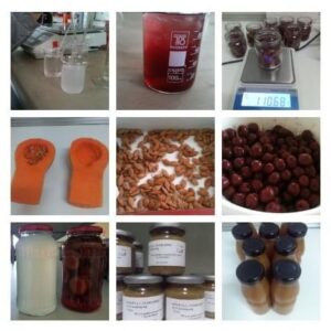 Jánkmajtis, Élelmiszeripar