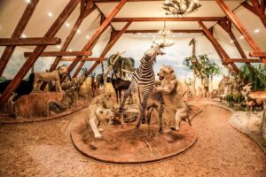 Vásárosnamény Vadászati kiállítás