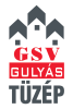 GSV Logo